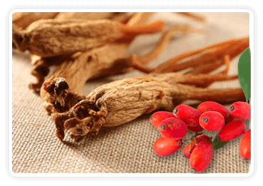 Berberine and Korean Red Ginseng ingredient